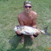 ���������� ��������, ���� ������� ����, 39 ���, ������������ ��� ������