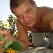   ,   Ted, 40 ,   ,   , c , 