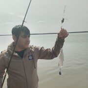  ,   Zamiq, 39 ,   ,   