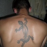 ���������� �������, ���� ������� ������, 36 ���, ������������ ��� ������, ����� � ���������, c�������� ���������