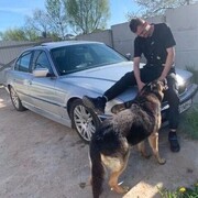 ���������� ������, ���� ������� �����, 32 ����, ������������ ��� c�������� ���������