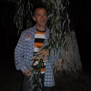  ,   , 58 ,   , 