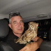  --,   , 49 ,     , c 