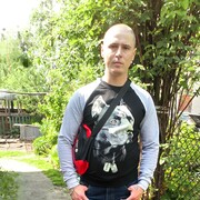  Jelcz,  , 31