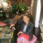  ,   , 53 ,  