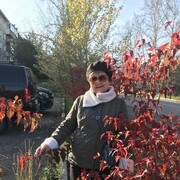  ,   , 68 ,     , c 