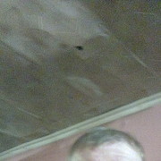  ,   , 49 ,   