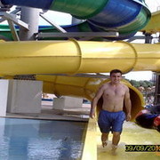  ,   Benji, 81 ,   ,   , c 