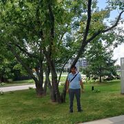 ���������� ����������, ���� ������� ����� ������, 39 ���, ������������ ��� ������, ����� � ���������, c�������� ���������, ���������