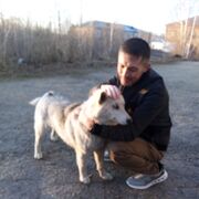 ���������� ����-�����������, ���� ������� �����, 40 ���, ������������ ��� ������, ����� � ���������