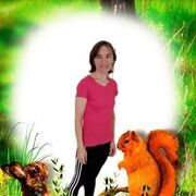  ,   , 43 ,   