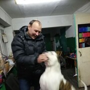  ,   , 51 ,   c 
