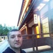 ���������� ���������, ���� ������� �������, 43 ����, ������������ ��� ���������