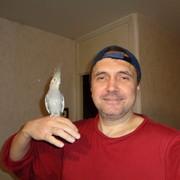  ,   , 52 ,   ,   , c 