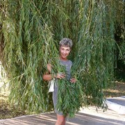 ���������� �������, ���� ������� �������, 60 ���, ������������ ��� ����� � ���������