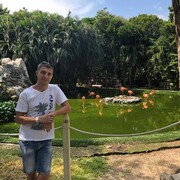 ���������� ������, ���� ������� ��������, 40 ���, ������������ ��� ������, ����� � ���������