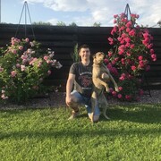 ���������� ����, ���� ������� ���������, 33 ����, ������������ ��� ������, ����� � ���������, c�������� ���������