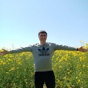 --,   , 37 ,     , c 