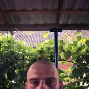  ,   , 29 ,     , c 