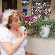  ,   , 53 ,   c , 