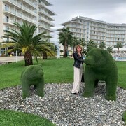 ���������� �����, ���� ������� ��������, 47 ���, ������������ ��� ������, ����� � ���������, c�������� ���������, ���������