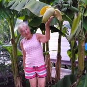  ,   , 70 ,   c 
