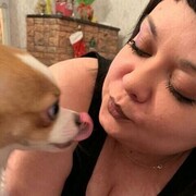 ���������� ������ ��������, ���� ������� ��������, 32 ����, ������������ ��� ������, ����� � ���������