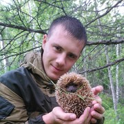 ���������� ���������, ���� ������� ����, 31 ���, ������������ ��� ������, ����� � ���������, c�������� ���������, ���������