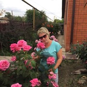  ,   , 48 ,   ,   