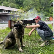 ���������� ����������, ���� ������� �����, 33 ����, ������������ ��� ������, ����� � ���������