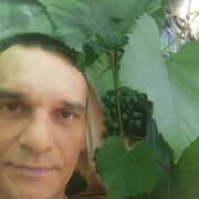 ���������� ����, ���� ������� �����, 43 ����, ������������ ��� ���������