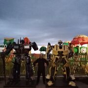 ���������� ����������� ����, ���� ������� �������, 50 ���, ������������ ��� ������, ����� � ���������, c�������� ���������