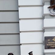 ���������� �����, ���� ������� Lina, 51 ���, ������������ ��� ����� � ���������, c�������� ���������, ���������