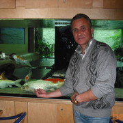  Dietzenbach,    51, 65 ,   