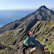 ���������� ����-���������, ���� ������� �������, 50 ���, ������������ ��� ������, ����� � ���������, c�������� ���������