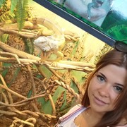 ���������� �����, ���� ������� ��������, 34 ����, ������������ ��� ������, ����� � ���������, c�������� ���������