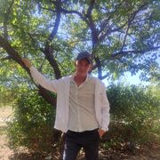 ���������� ���������, ������� ����, 38