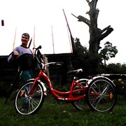  ,   , 49 ,   ,   , c 