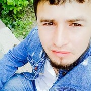  ,   Shox, 31 ,   ,   , c 