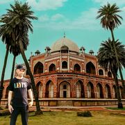 ���������� ������, ���� ������� ������, 43 ����, ������������ ��� ������, ����� � ���������