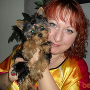 ���������� ����, ���� ������� �������, 51 ���, ������������ ��� ������, ����� � ���������, c�������� ���������