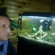  -,   , 55 ,   ,   , c 