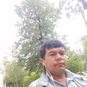 ���������� ������, ���� ������� ����, 43 ����, ������������ ��� ������, ����� � ���������