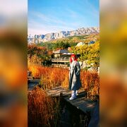 ���������� ����������, ���� ������� ��������, 31 ���, ������������ ��� ������, ����� � ���������, c�������� ���������