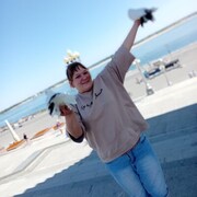 ���������� ���������, ���� ������� ������, 43 ����, ������������ ��� c�������� ���������