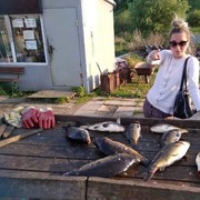 ���������� ������, ���� ������� �������, 35 ���, ������������ ��� ������, ����� � ���������, c�������� ���������