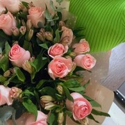  ,   , 26 ,   ,   , 