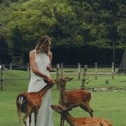 ���������� �����, ���� ������� �����, 35 ���, ������������ ��� ����� � ���������, c�������� ���������, ���������