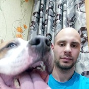 -,   , 37 ,  