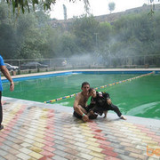  ,   ARM 043 1588, 34 ,   